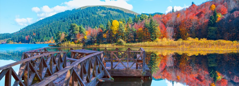 Bolu, Eşcinsel Arkadaş Arama Grubu Cover Image