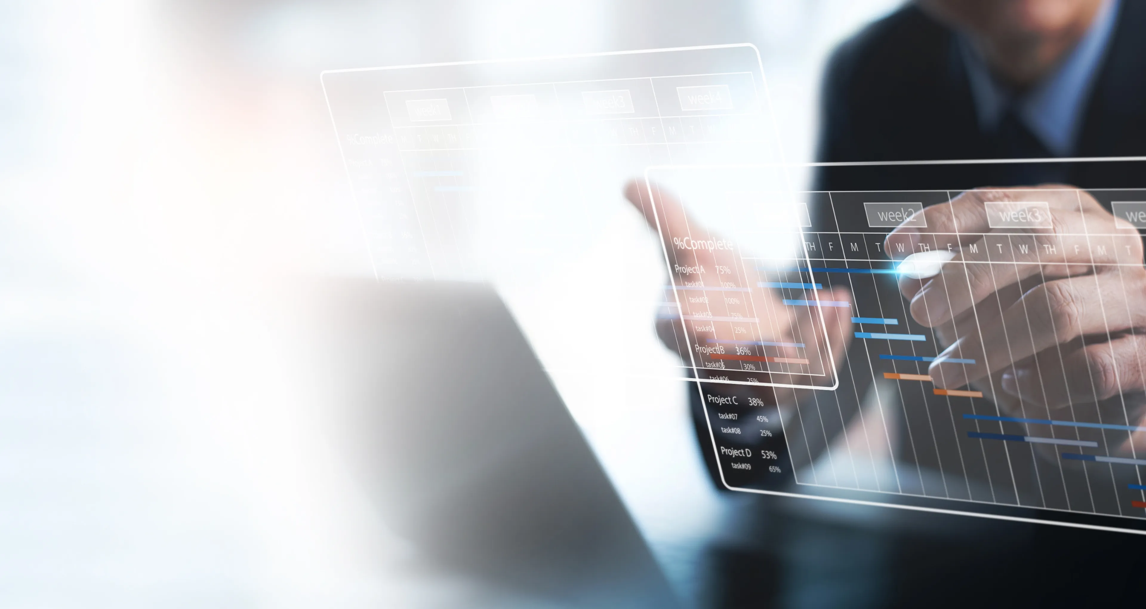 Project Portfolio Management & Project Controls Consulting | IMS